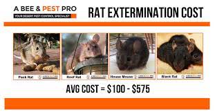 We provide mouse control tips and setting mice traps or placing out mouse bait are the most trustworthy methods of controlling mice a quick look at the habits of both will help you understand how to inspect and control the mice population. How Much Does Rat Extermination Or Removal Cost From Roof 2018