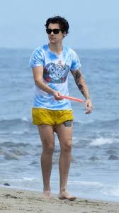 Harry At The Beach In Malibu May 20 2019 Harry Styles Harry Styles Pictures Mr Style