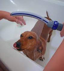 21 Things You Need If You Re Totally Obsessed With Your Pet Dog Cleaning Best Dog Shampoo Dog Grooming