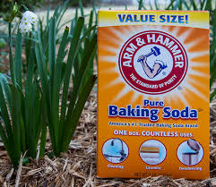 We did not find results for: Clean Up Mold And Mildew Sun Oven The Original Solar Oven Solar Cooker