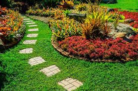 The health benefits of gardening including backyard gardening, community and kitchen gardening a good garden and planted area does not only beautify and improvises the looks of your home or. Benefits Of Hiring A Home Garden Maintenance Services Provider In Singapore Narvik Home Parcs