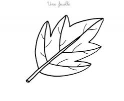Retrouvez ici tous nos coloriages de superhéros, nos coloriages de princesses, nos coloriages d'animaux et autres. Coloriage A Imprimer Une Feuille