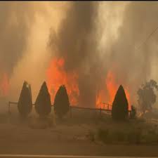 Bc parks has been engaged. Village Of Lytton B C Evacuated As Mayor Says The Whole Town Is On Fire Cbc News