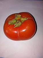 The persimmon is a native of china, where it has been cultivated for centuries. Persimmon Wikipedia