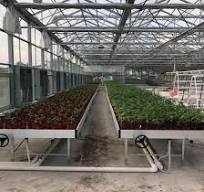 New Premium Growing Tray 4X8 Flood Trays Ebb and Flow System ...