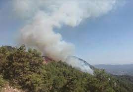 Jun 10, 2021 · muğla'nın bodrum ilçesinde inşaat işçilerinin kaldığı konteynırların yanında yangın çıktı. 5jvfii7lnj Q5m