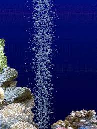 Aquarium Natural Gif Animaciya Na Telefon 1310643 Imagem Em Movimento Lindas Cachoeiras Papeis De Parede Em Movimento
