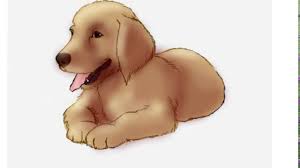 ★learn how to draw the easy, step by step way while having fun and building skills and confidence. How To Draw A Golden Retriever Puppy In Easy Step By Step Drawing Tutorial Lesson Youtube