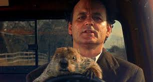 El día de la marmota. Feliz Dia De La Marmota Conocias Estas Curiosidades The Corner