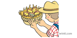Dont Count Your Chickens Before They Hatch Ilustracao Twinkl