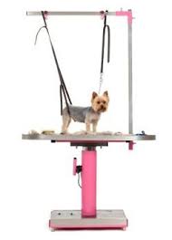 Pin By Coco Bear On Grooming Dog Grooming Shop Dog Grooming Salons Dog Grooming Supplies