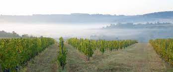 Programul național de dezvoltare rurală 2020. Programul NaÈ›ional De Dezvoltare RuralÄƒ Fonduri Structurale