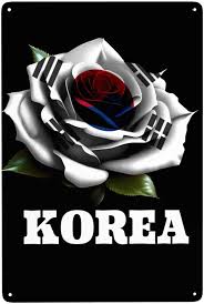 Amazon.com: Rose South Korea Korean Flag Sign Metal Iron Painting Wall Art  For Indoor & Outdoor Home Bedroom Bar Coffee Kitchen Wall Decor 12x8 Inch :  Home & Kitchen