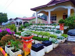 De green kedung rejo,perumahan malang paling dekat kota. Mingguan Wanita Taman Sayuran Depan Rumah Kata Facebook