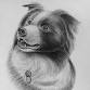 Drawing and Painting Pets for the Holidays —... event in Everett, WA