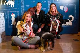 Saint lucia saint lucy st. Vi Pets Party A Four Legged Gala Derby Hotels Collection Blog Magazine
