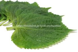えごまの葉 エゴマの葉 荏胡麻の葉 旬の野菜百科