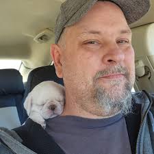 Male fawn pug puppy for adoption in Dayton area