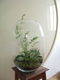 Le Terrarium De Printemps Un Morceau De Nature A La Maison Miniature Fairy Gardens Garden Terrarium Terrarium Plants