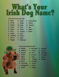 Your Irish Dog Name Boy Dog Names Good Boy Dog Names Irish Dog