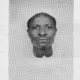 72andSunny Amsterdam's staff and employees