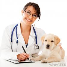 Pekerjaan bisnis sukses karir profesional dokter. 69 Kartun Profesi Dokter Gratis Download Cikimm Com