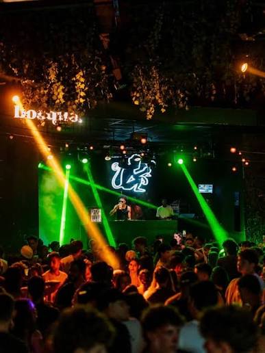 Bosque Bar