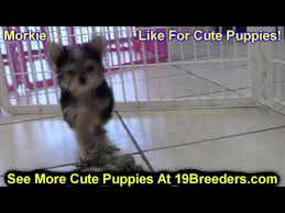 Charming 3bd 2bath home available in great twin falls neighborhood. Craigslist For Twin Falls Idaho Top Suggestions For Rental Services Onlinerentaly