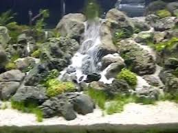 A Feat So Amazing You Would Think It S Impossible Even More Amazing It S Easy And Cheap This Gorgeous Aquarium Sand Fresh Water Fish Tank Aquarium Fish Tank
