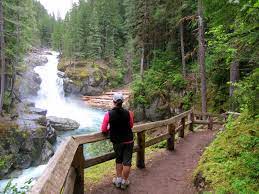 Suggest edits to improve what we show. Hike Silver Falls Loop Visit Rainier