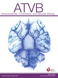 Therapeutic Targeting of the Ang2Tie Pathway in Endothelial Cells as a  Potential Treatment of Hereditary Hemorrhagic Telangiectasia |  Arteriosclerosis, Thrombosis, and Vascular Biology