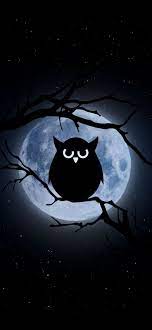 Wallpapers Dekho Only For Wallpapers Join Us On Telegram For More Cute Owls Wallpaper Owl Wallpaper Wallpaper Backgrounds