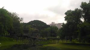 27,046 people checked in here. D R Seenivasagam Park Picture Of D R Seenivasagam Park Ipoh Tripadvisor