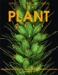 We did not find results for: Plant Cell Countryofpapers
