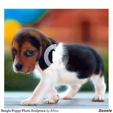 beagle puppy photo sculpture zazzle com beagle puppy photo sculpture puppies