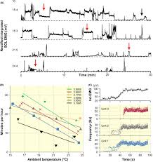 Complete the spider diagram with the following words! Body Temperature Control In Rats By Muscle Tone During Rest Or Sleep Lomo 2020 Acta Physiologica Wiley Online Library