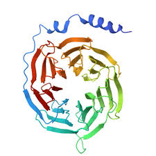 Image result for tbn:e0rIx7nzVbReyM::qamarzaman.jeeran.com/%D8%AA%D8%AF%D9%85%D8%B12.jpg