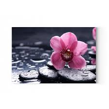 dekoratif cicekli kanvas tablo tablolar