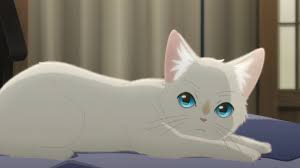 Miyo Sasaki Taro A Whisker Away Nakitai Watasgi Wa Neko O Kaburu In 2020 Anime Wallpaper Anime Movies Neko