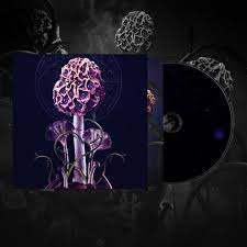 Image result for Hallucinogen