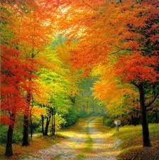 Pin On Fall Into Autumn