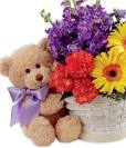 Image result for SEND SOMEONES /FLOWERS/CANDY/TEDDY BEAR/BASKETS OF FRUIT/AND GREETING CARDS/