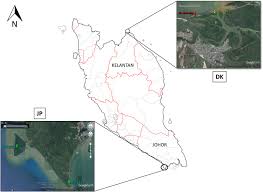 Sand soil is made up of larger granules and won't hold its shape when wet. Estimation Of Carbon Pool In Soil Above And Below Ground Vegetation At Different Types Of Mangrove Forests In Peninsular Malaysia Sciencedirect