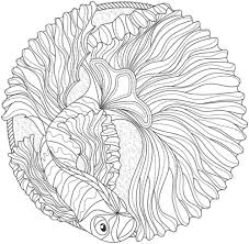 Always pour acid into water. Mandala Coloring Books 20 Of The Best Coloring Books For Adults