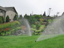 Sprinkler Tune Up Precision Landscape Portland Oregon Landscaping