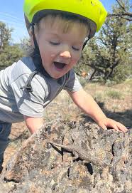 Box of 37 package (5 each) glass fuses variety of sizes and amps. Some slow  blow and some fast acting. $20 OBO (I have 5 boxes available) Springfield  near Walmart