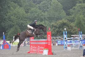 Fischer, le vieux tapissier, leur avait prêté une charrette et son petit cheval; Equinhelp Faut Il A Tout Prix Laisser Son Cheval Pieds Nus