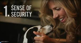 You and Your Dog's 7 Basic Needs