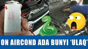 Maybe you would like to learn more about one of these? Abang Azbi On Aircond Kereta Keluar Bunyi Ular Youtube