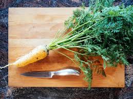 Carrots are easy to grow as long as they note: Are Carrot Tops Poisonous Here S What Science Says Garden Betty